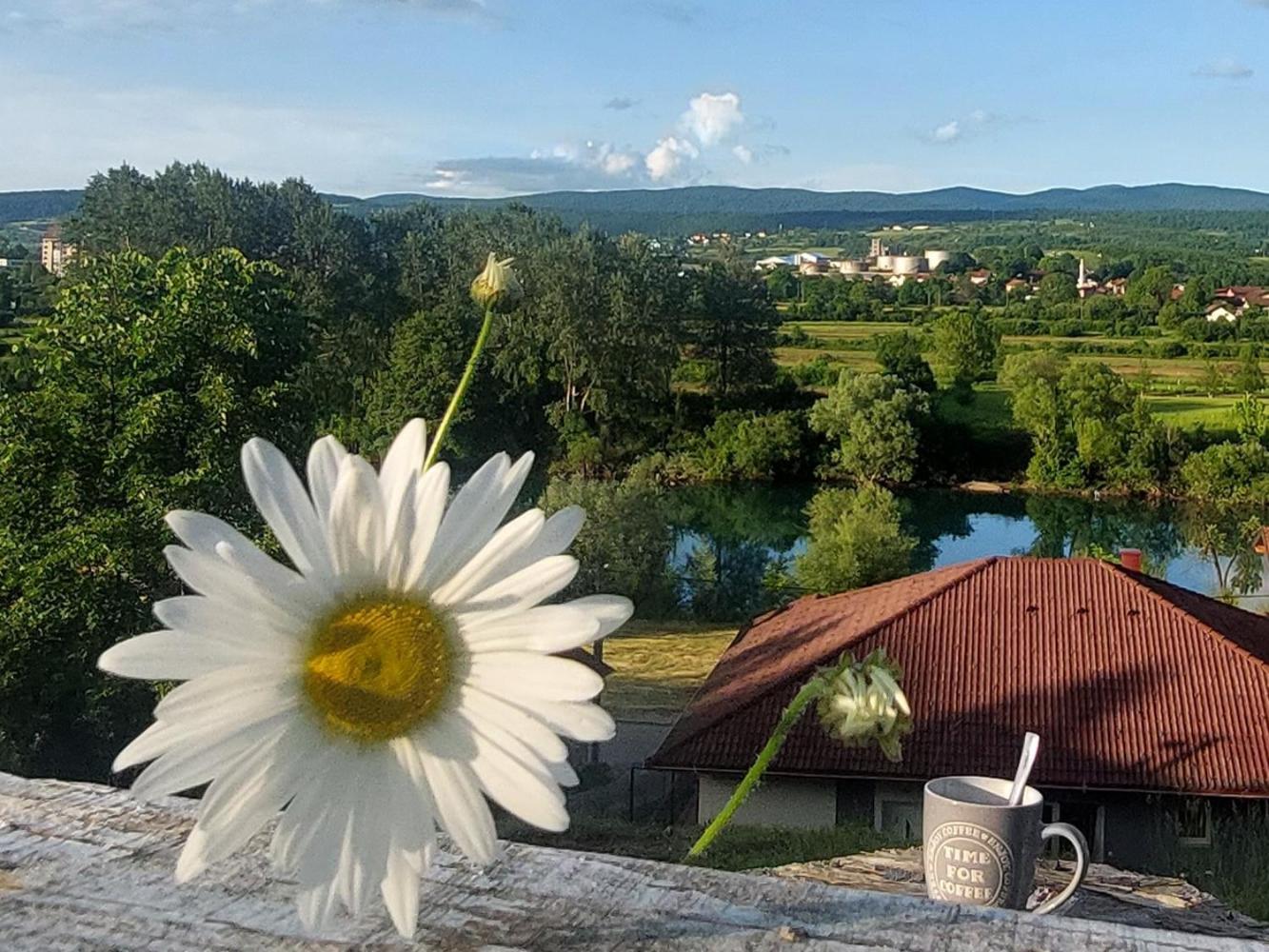 Apartments Window Bihac Bagian luar foto